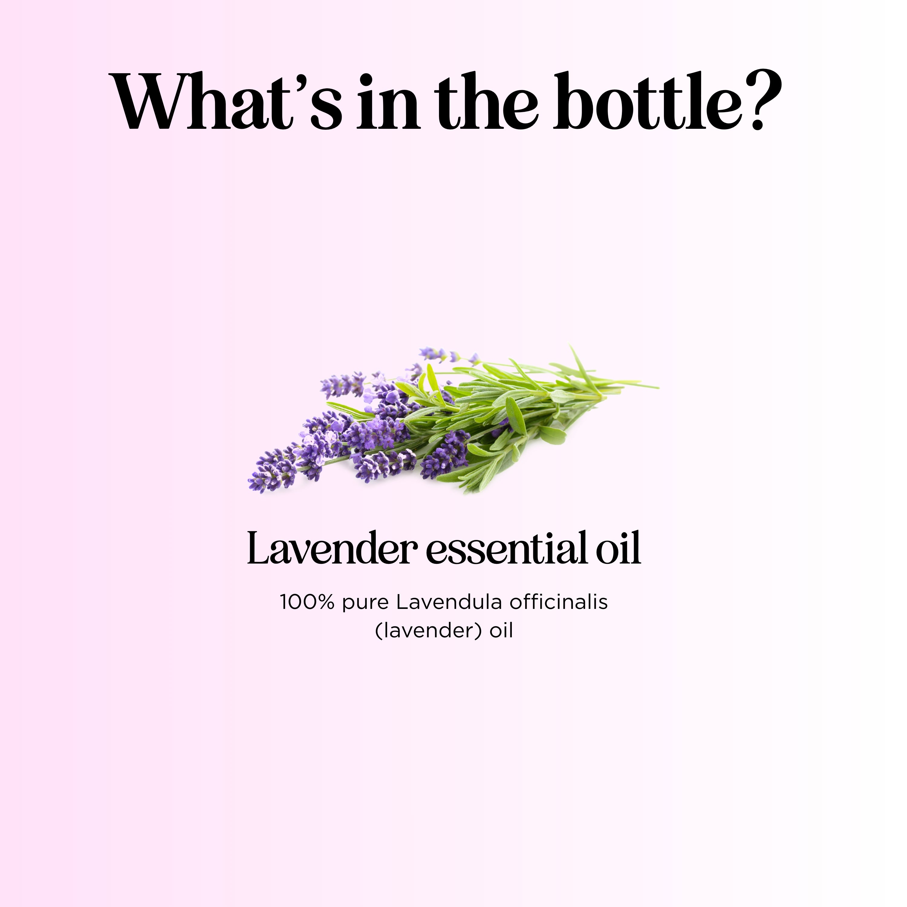 Lavender Oil Essential Oil