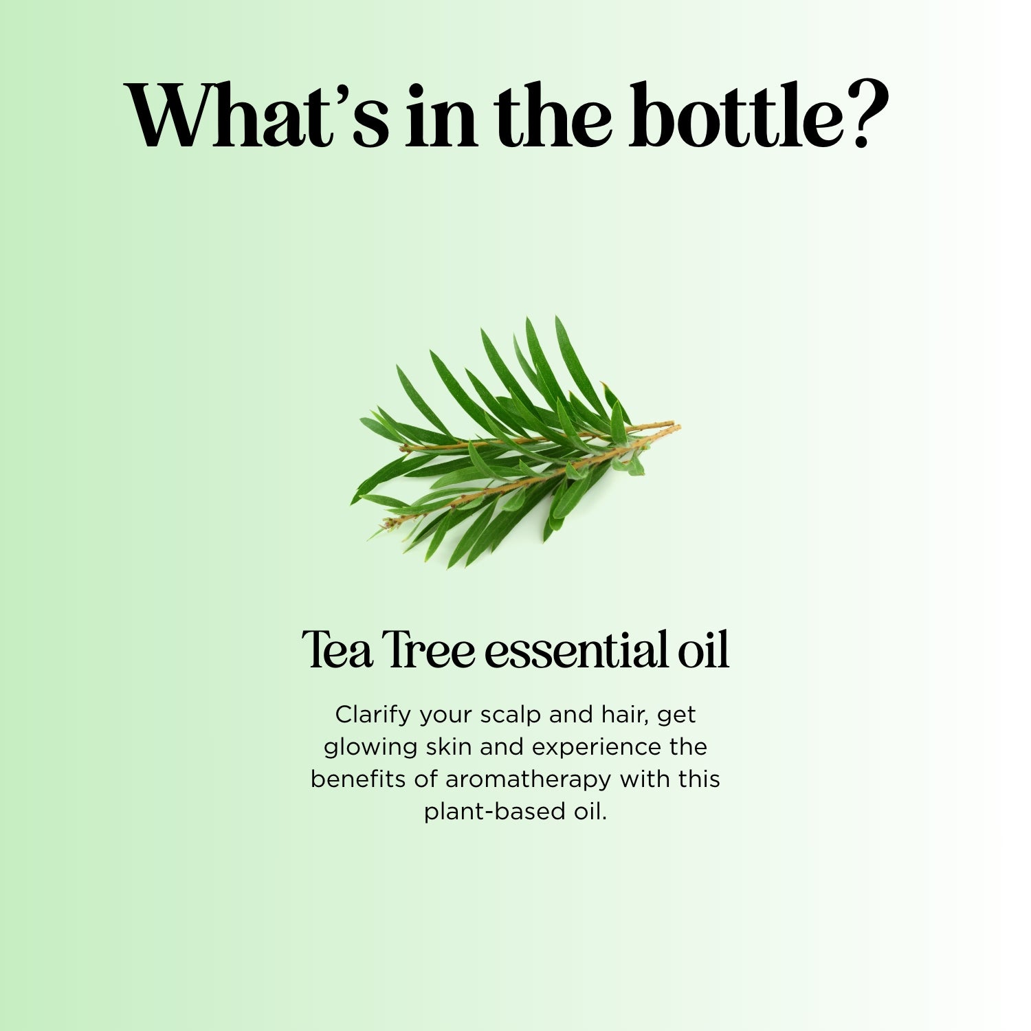 Tea Tree Essential Oil