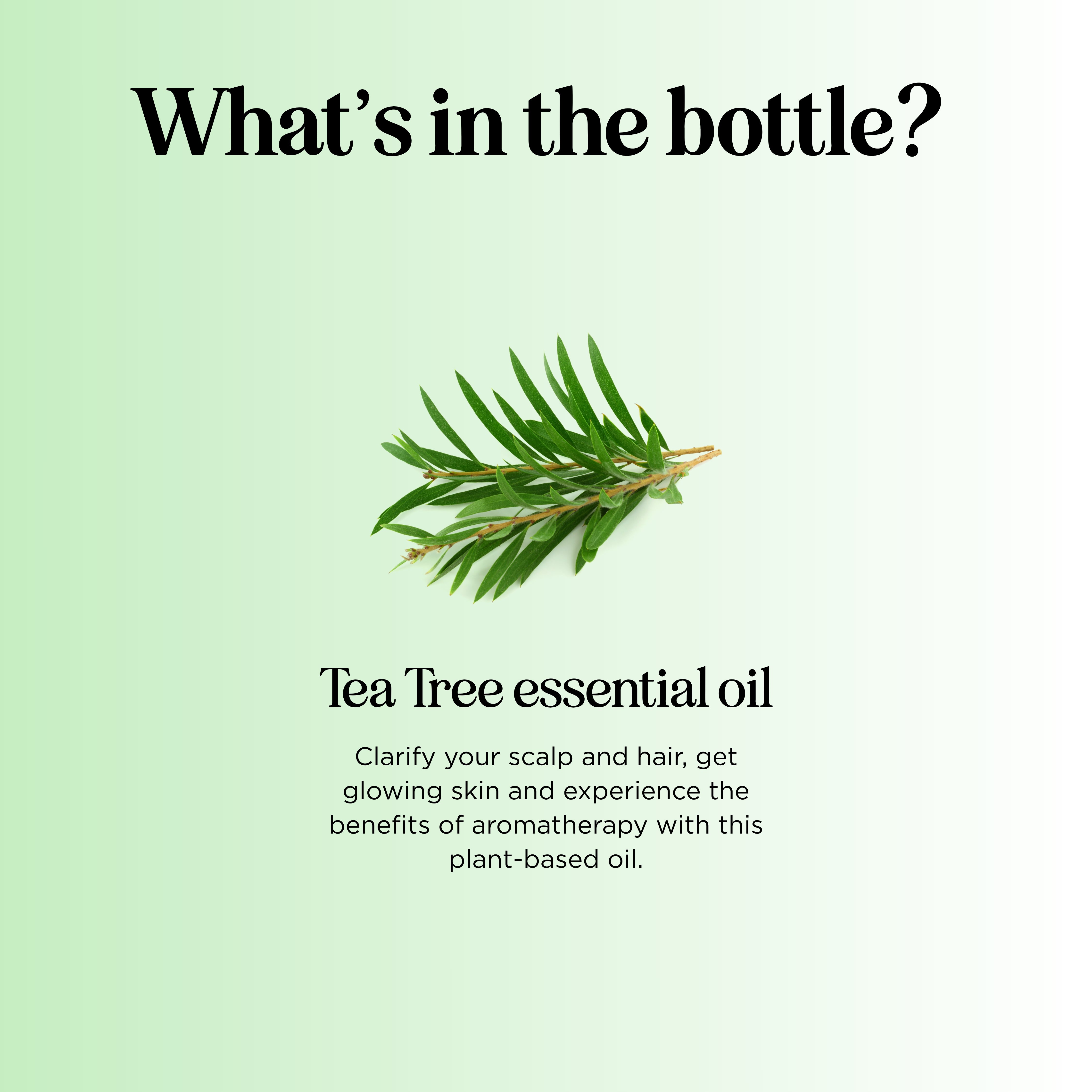 Tea Tree Essential Oil