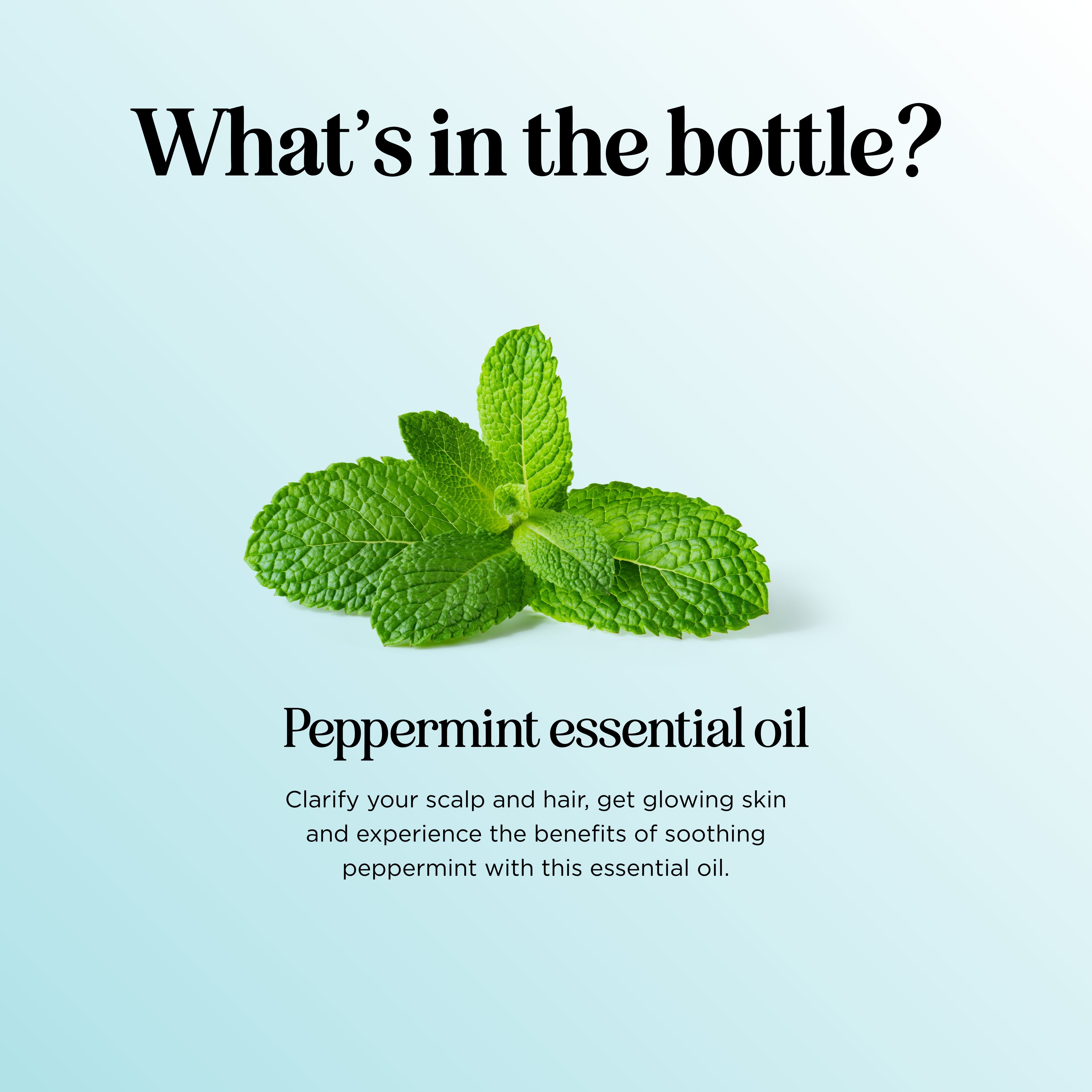 Peppermint Essential Oil